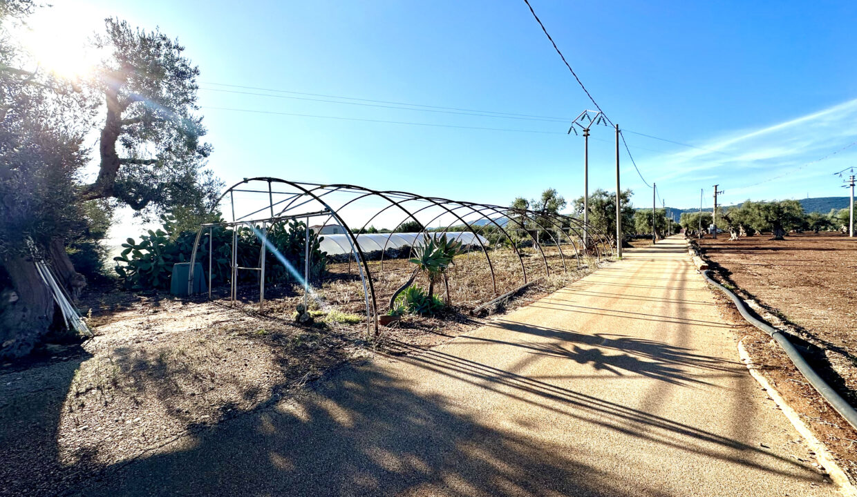 Porzione di terreno seminativo